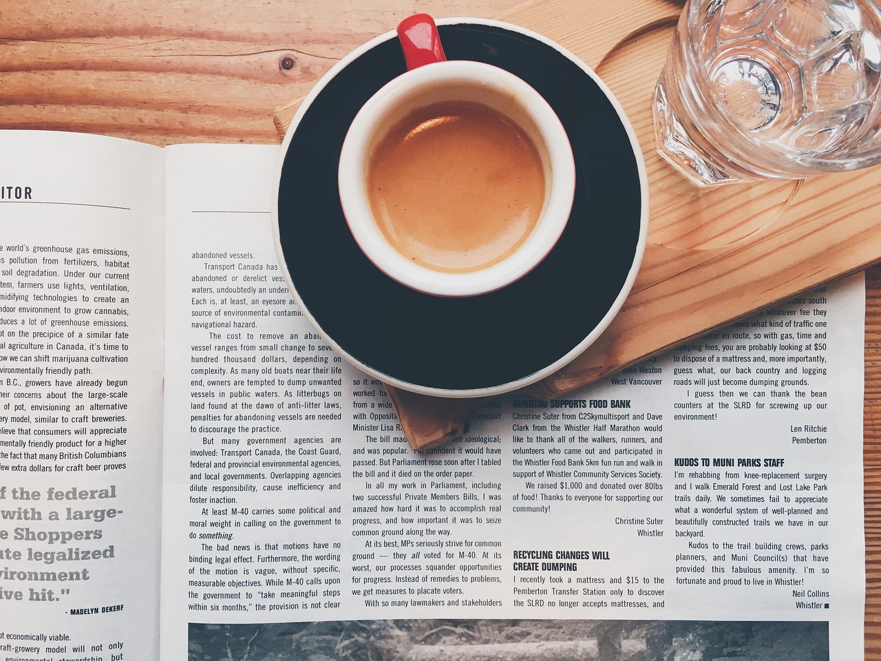 Do Maltese Prefer Print Or Digital Reading?